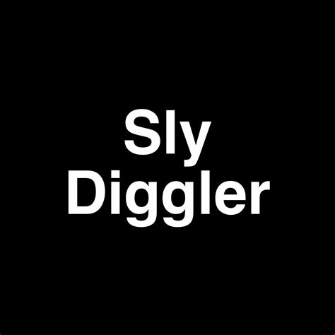 Sly Diggler net worth Nov, 2024